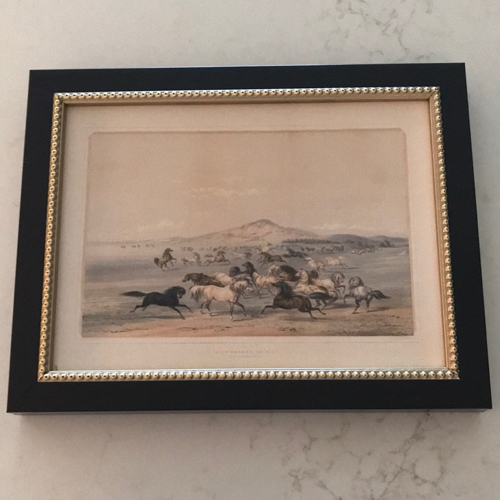 Petal Lane Framed Horse Print Wall Art in Black and Gold 9x7